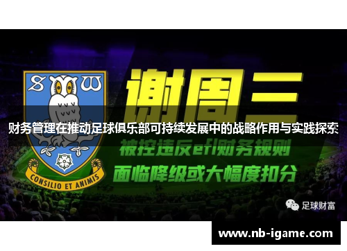 财务管理在推动足球俱乐部可持续发展中的战略作用与实践探索 财务管理在推动足球俱乐部可持续发展中的战略作用与实践探索