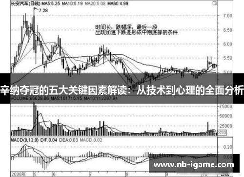 辛纳夺冠的五大关键因素解读：从技术到心理的全面分析