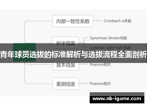 青年球员选拔的标准解析与选拔流程全面剖析 青年球员选拔的标准解析与选拔流程全面剖析