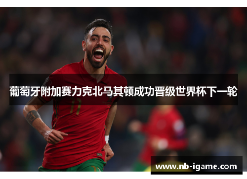 葡萄牙附加赛力克北马其顿成功晋级世界杯下一轮 葡萄牙附加赛力克北马其顿成功晋级世界杯下一轮