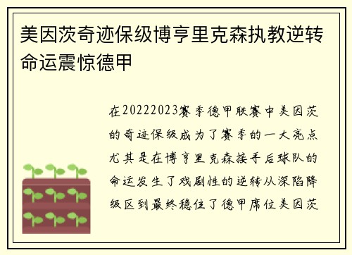 美因茨奇迹保级博亨里克森执教逆转命运震惊德甲 美因茨奇迹保级博亨里克森执教逆转命运震惊德甲