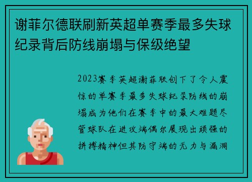 谢菲尔德联刷新英超单赛季最多失球纪录背后防线崩塌与保级绝望 谢菲尔德联刷新英超单赛季最多失球纪录背后防线崩塌与保级绝望